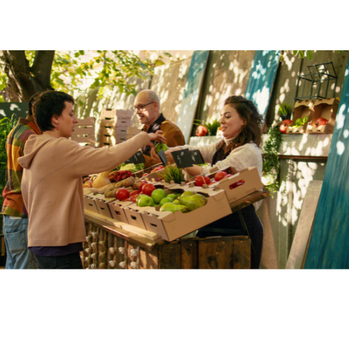 Frutas Frescas de Temporada